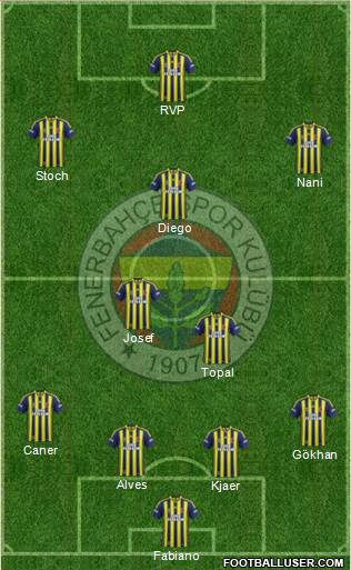 Fenerbahçe SK Formation 2015