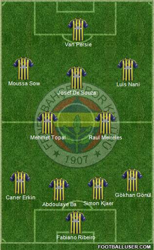 Fenerbahçe SK Formation 2015