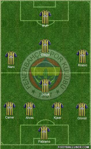 Fenerbahçe SK Formation 2015
