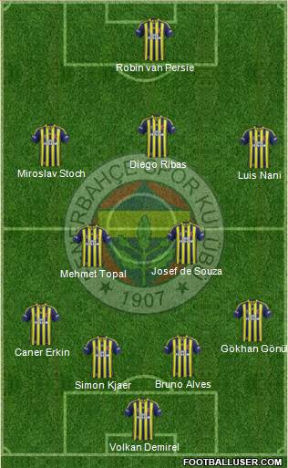 Fenerbahçe SK Formation 2015