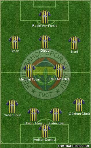 Fenerbahçe SK Formation 2015