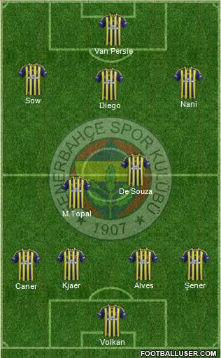 Fenerbahçe SK Formation 2015
