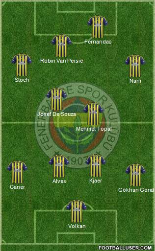 Fenerbahçe SK Formation 2015