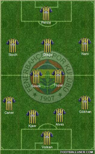 Fenerbahçe SK Formation 2015