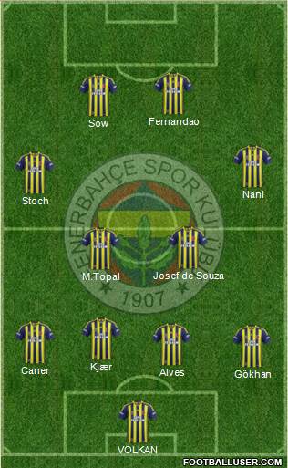 Fenerbahçe SK Formation 2015