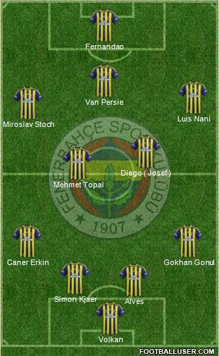 Fenerbahçe SK Formation 2015