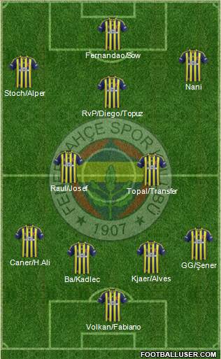 Fenerbahçe SK Formation 2015