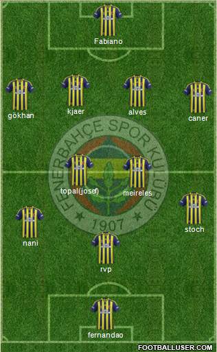Fenerbahçe SK Formation 2015