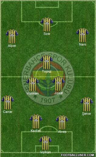 Fenerbahçe SK Formation 2015