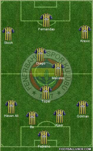 Fenerbahçe SK Formation 2015