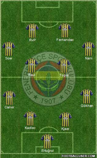 Fenerbahçe SK Formation 2015