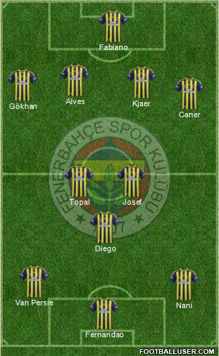 Fenerbahçe SK Formation 2015