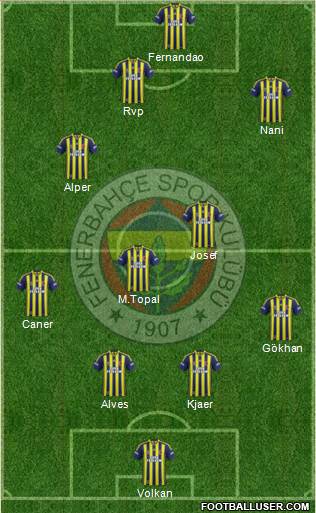 Fenerbahçe SK Formation 2015