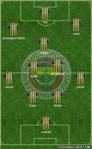 Fenerbahçe SK Formation 2015