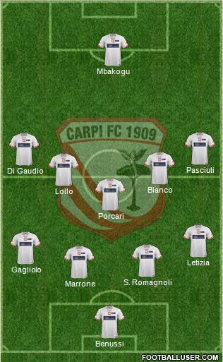 Carpi Formation 2015