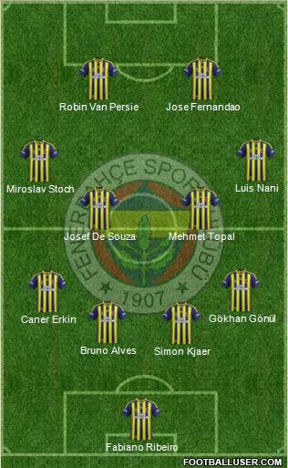 Fenerbahçe SK Formation 2015