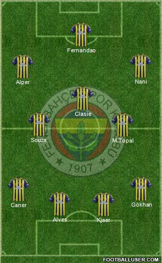 Fenerbahçe SK Formation 2015