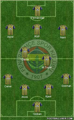 Fenerbahçe SK Formation 2015