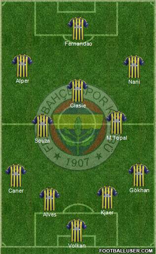 Fenerbahçe SK Formation 2015