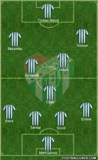 Bursaspor Formation 2015