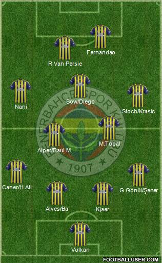 Fenerbahçe SK Formation 2015