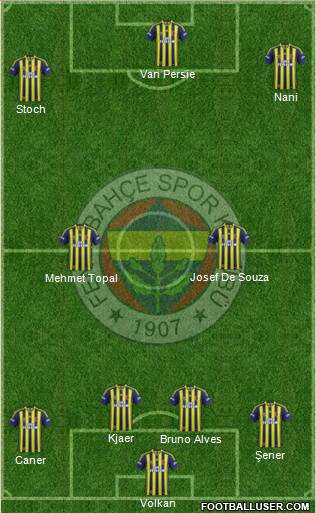 Fenerbahçe SK Formation 2015