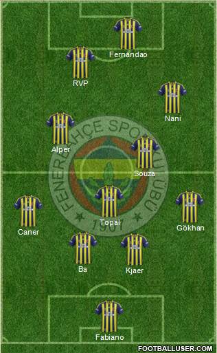 Fenerbahçe SK Formation 2015