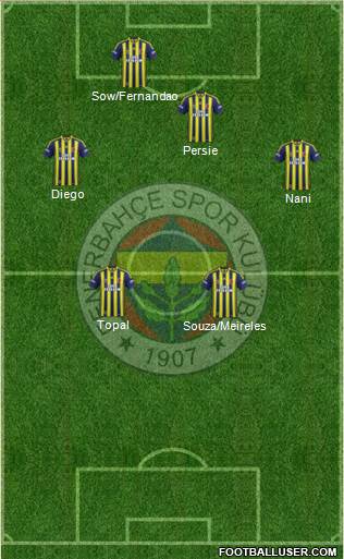 Fenerbahçe SK Formation 2015