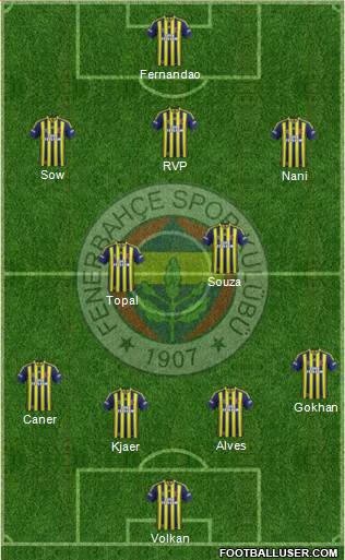 Fenerbahçe SK Formation 2015
