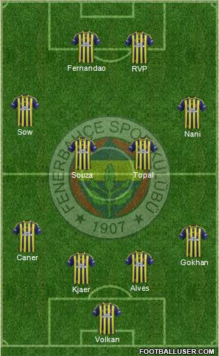 Fenerbahçe SK Formation 2015