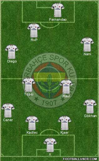 Fenerbahçe SK Formation 2015
