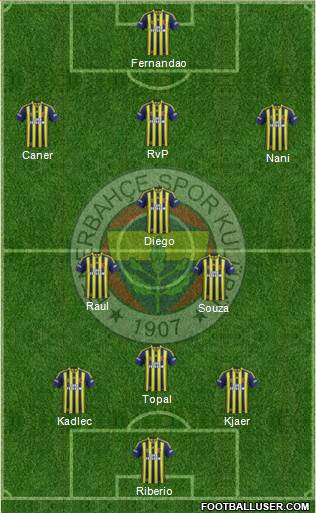 Fenerbahçe SK Formation 2015
