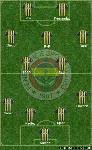 Fenerbahçe SK Formation 2015