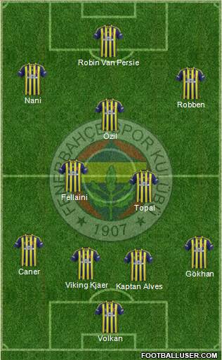 Fenerbahçe SK Formation 2015