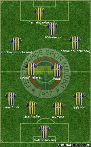 Fenerbahçe SK Formation 2015