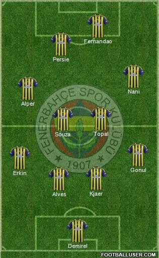 Fenerbahçe SK Formation 2015