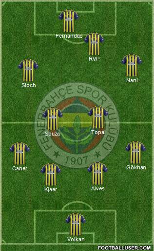 Fenerbahçe SK Formation 2015