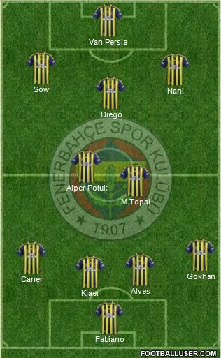 Fenerbahçe SK Formation 2015