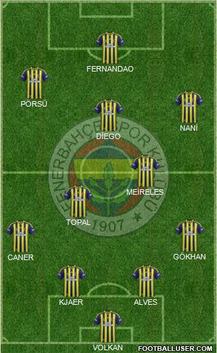 Fenerbahçe SK Formation 2015