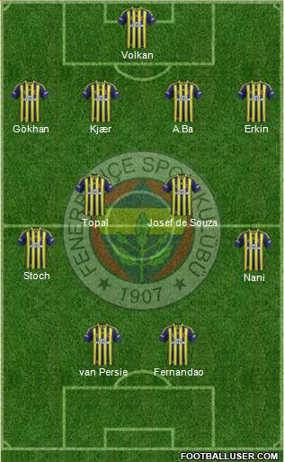 Fenerbahçe SK Formation 2015