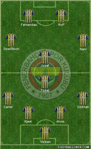 Fenerbahçe SK Formation 2015
