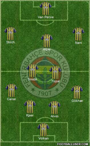 Fenerbahçe SK Formation 2015