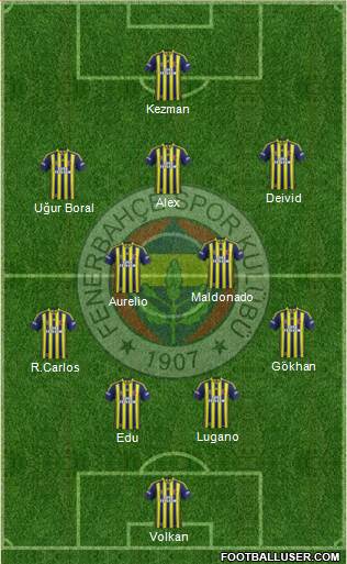 Fenerbahçe SK Formation 2015