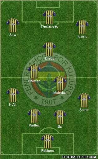 Fenerbahçe SK Formation 2015