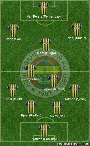 Fenerbahçe SK Formation 2015