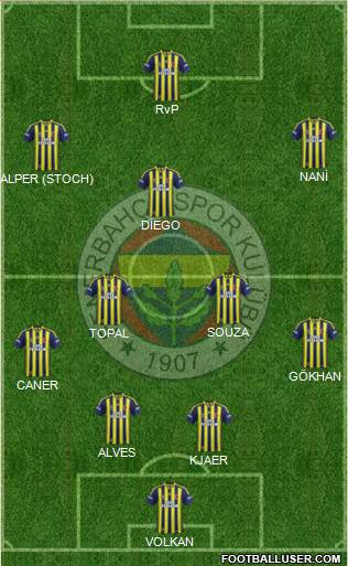 Fenerbahçe SK Formation 2015