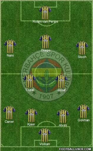 Fenerbahçe SK Formation 2015