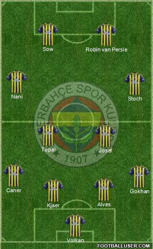 Fenerbahçe SK Formation 2015