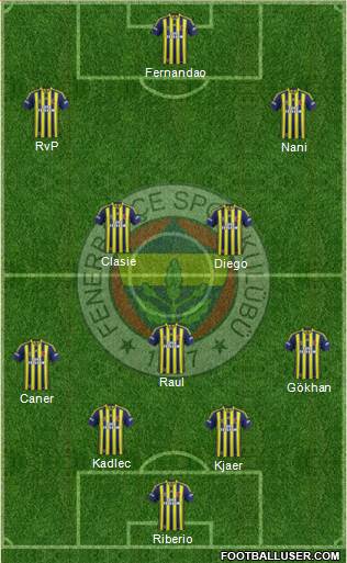 Fenerbahçe SK Formation 2015