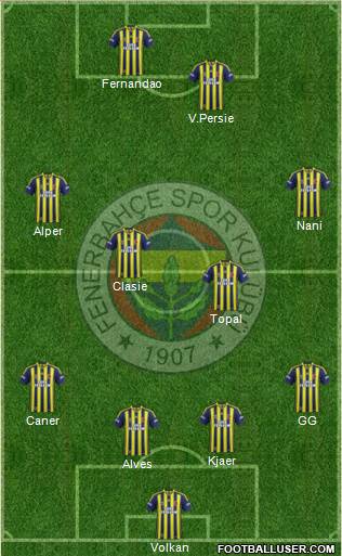 Fenerbahçe SK Formation 2015